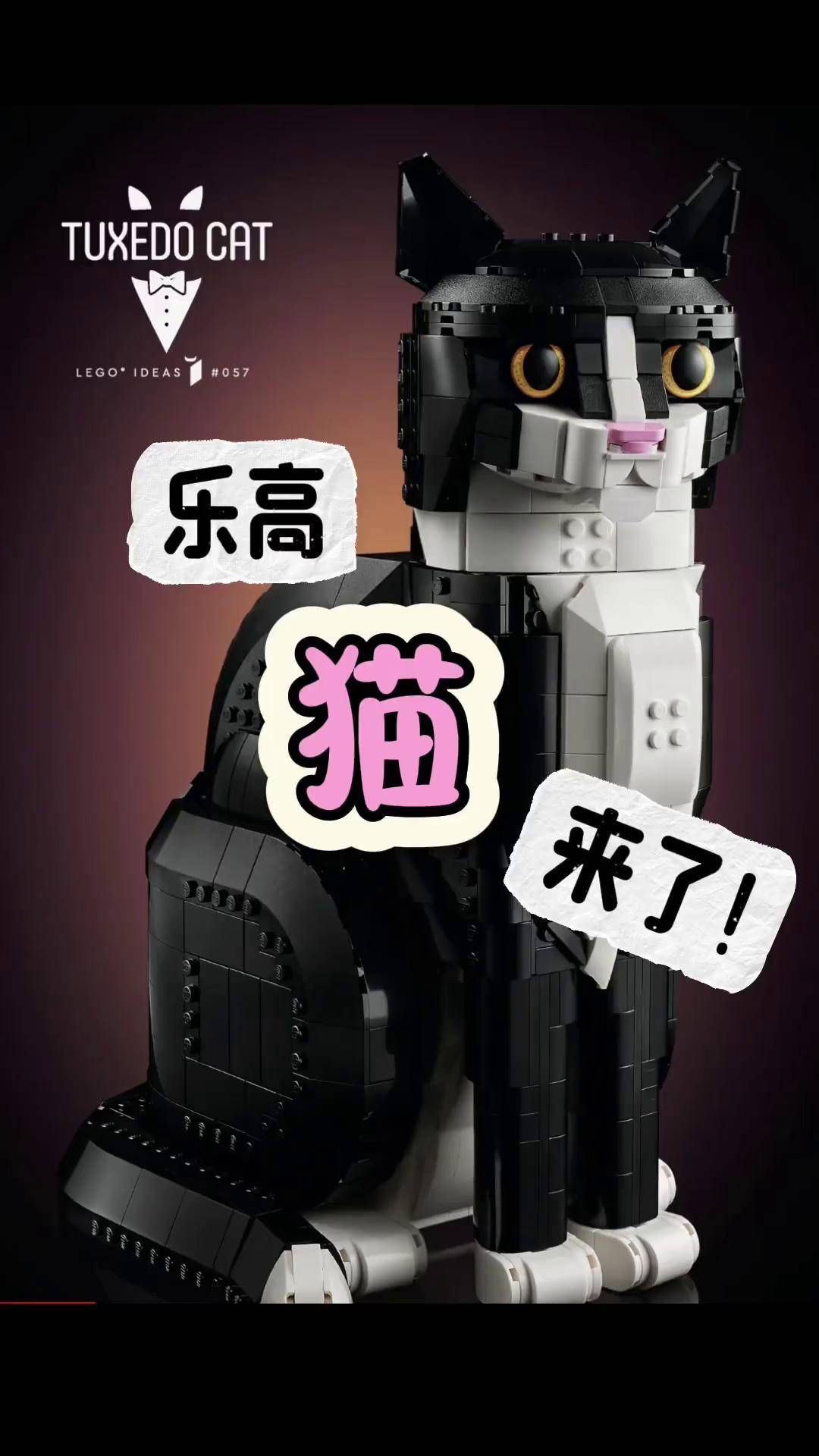 乐高21349猫来啦可能是下一个火出圈的乐高套装21349猫燕尾服猫