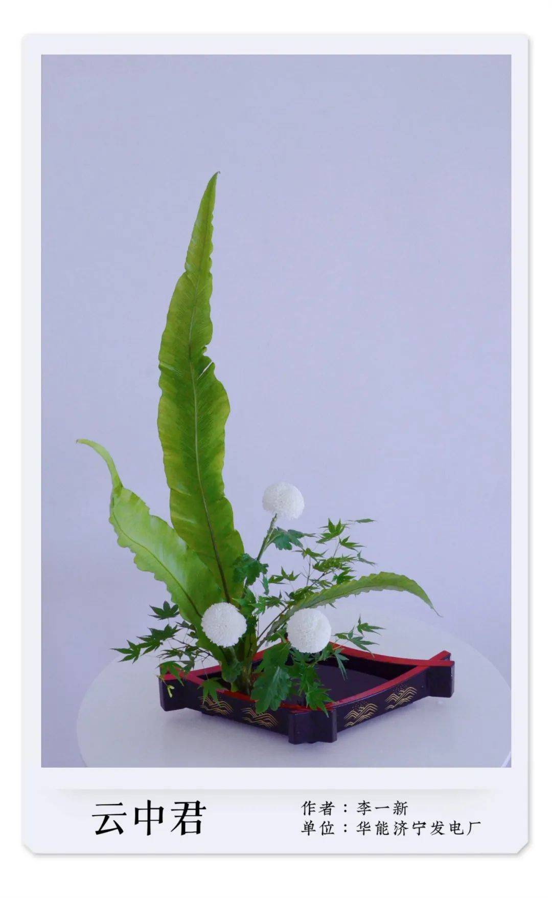 八妇女节济宁市女职工插花网上作品展