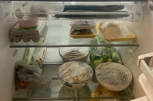 正视隔夜菜：健康与浪费之间的平衡术