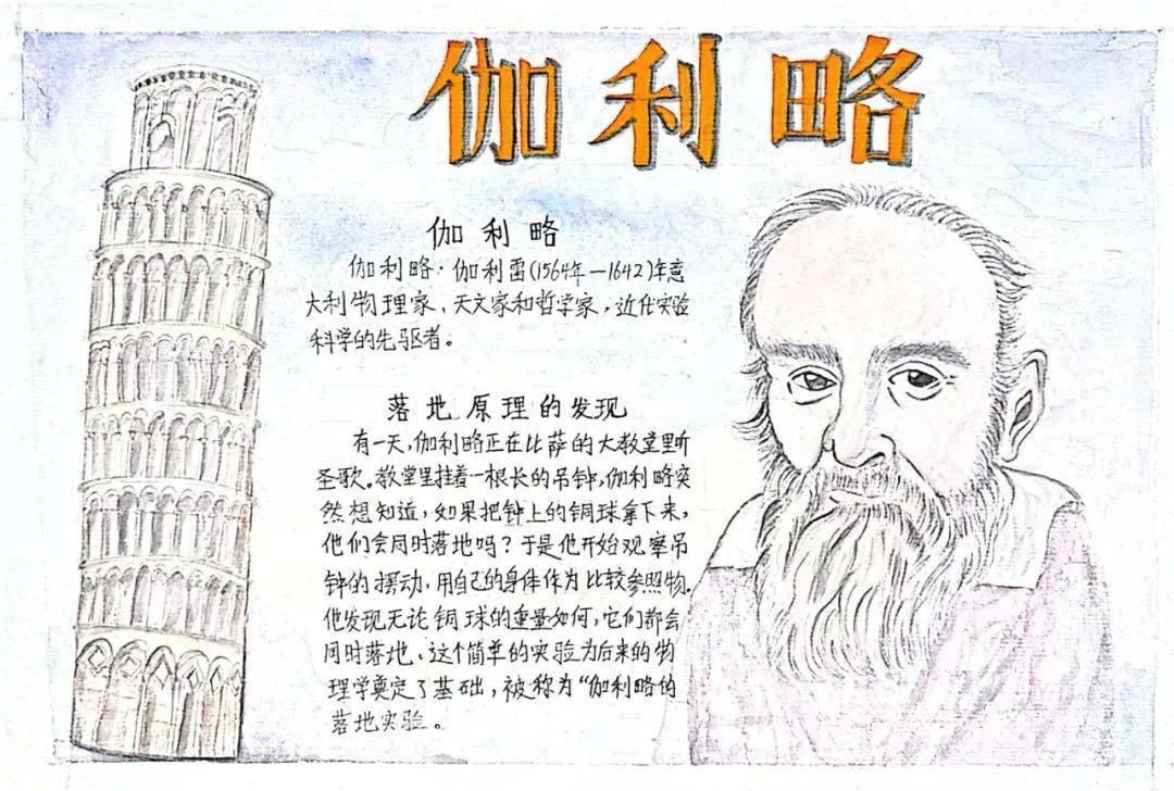 （四）科学（50条）(中小学科学教育二十条出台)