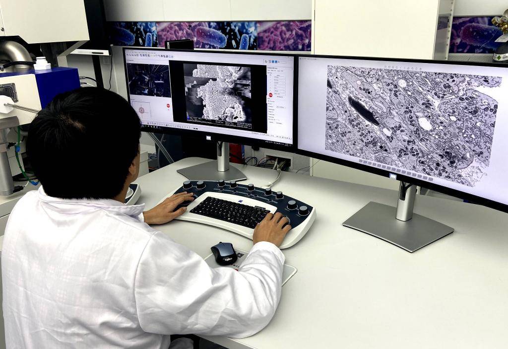 全景揭示生命奥秘:我国生物医学成像大科学设施通过国家验收