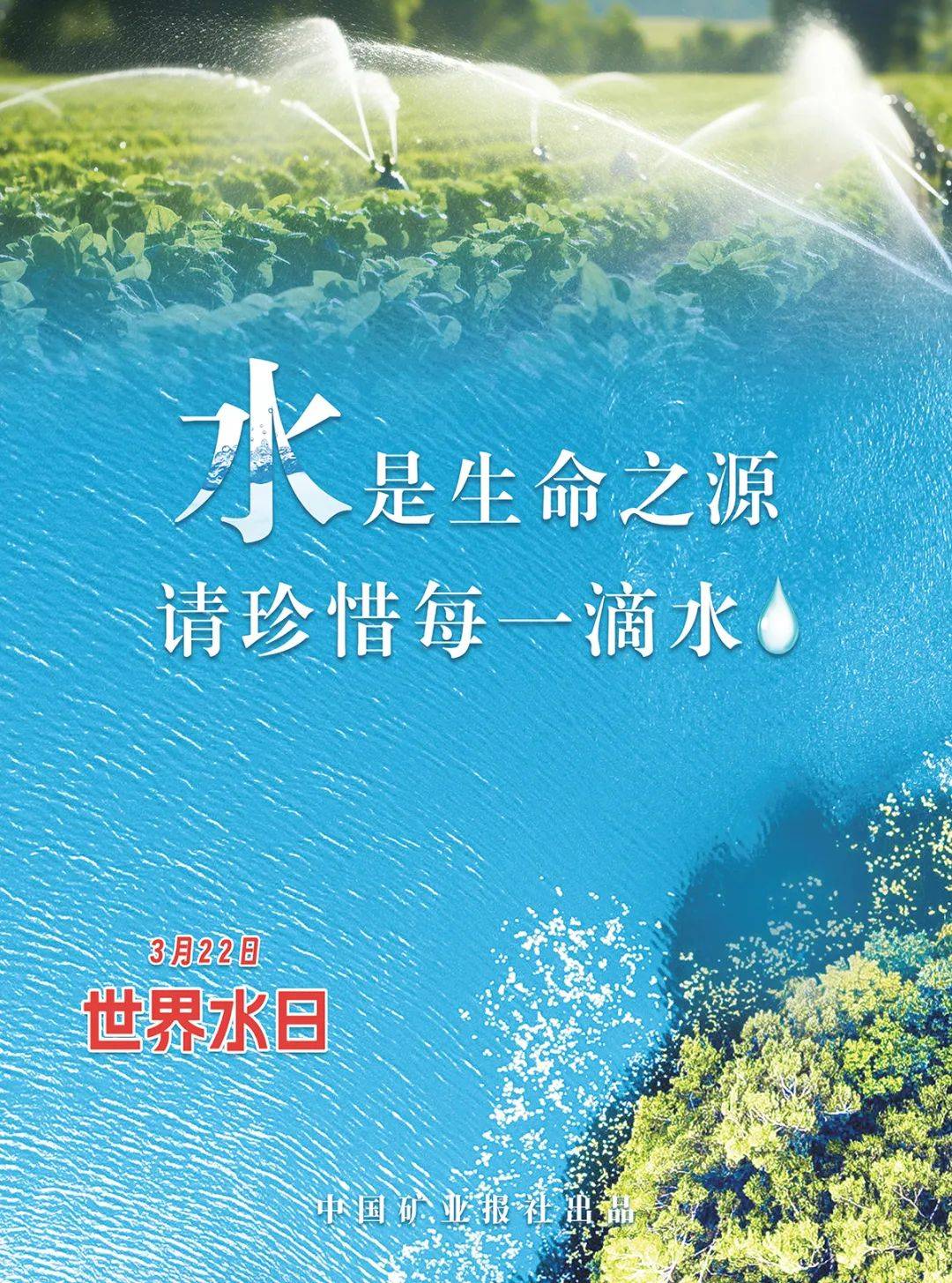 世界水日 | 水是生命之源 请珍惜每一滴水