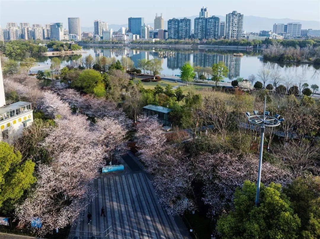 金华浦江天气天气大全