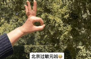 北京圆柏花粉“似扬沙”！是真的吗？_柏树_丛日晨_树种