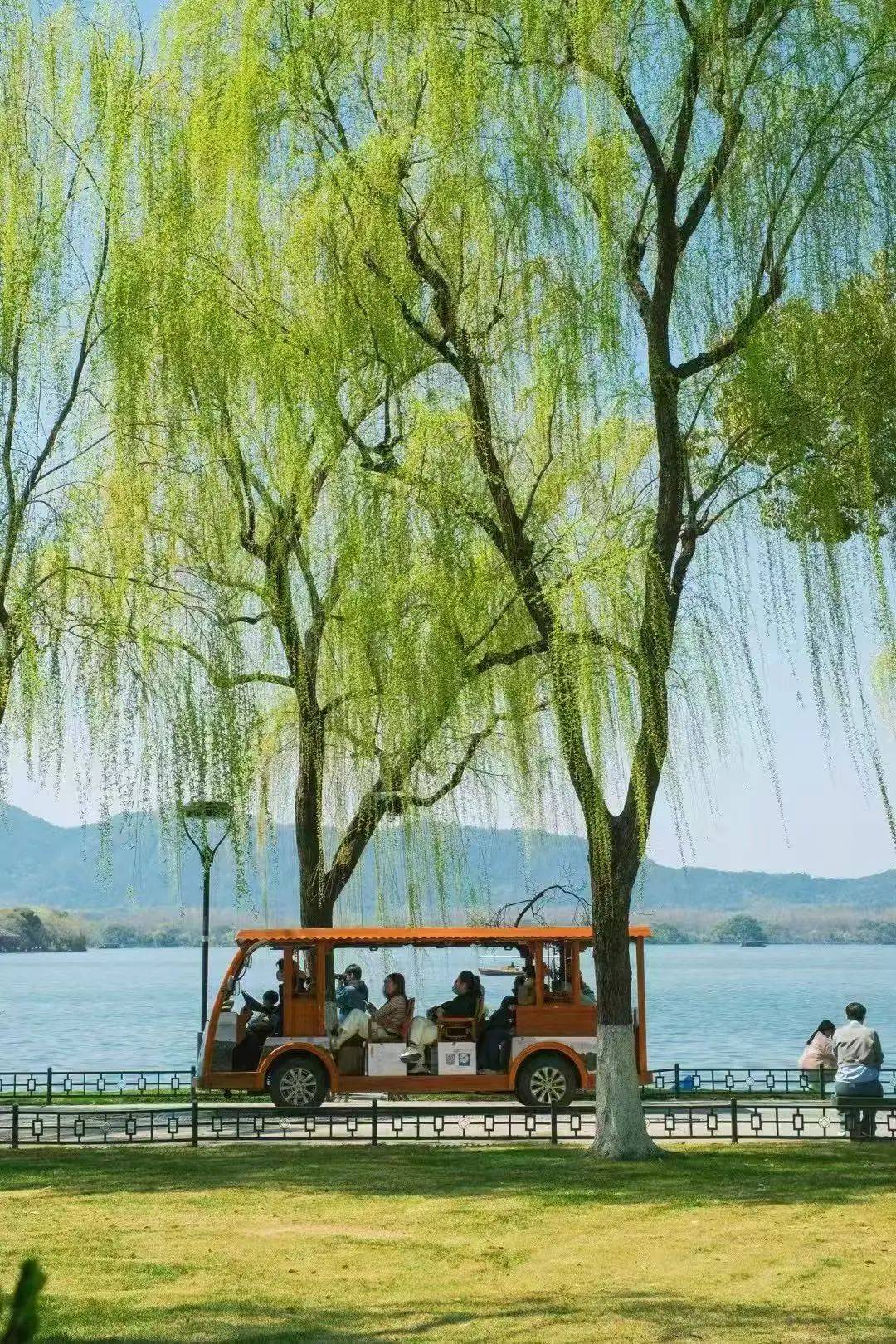 摄影/九月和桃子摄影/楼航杭州地处江南柳树衬托了山水之美也寄托了