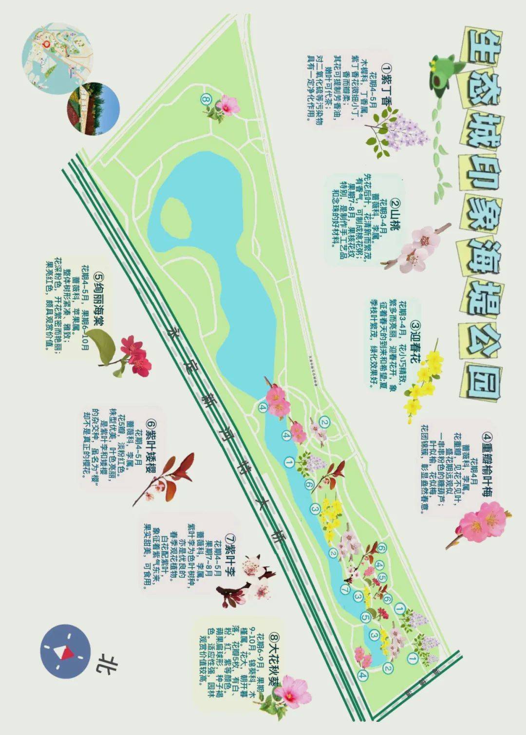 一个公园一张图!生态城赏花地图"上新"