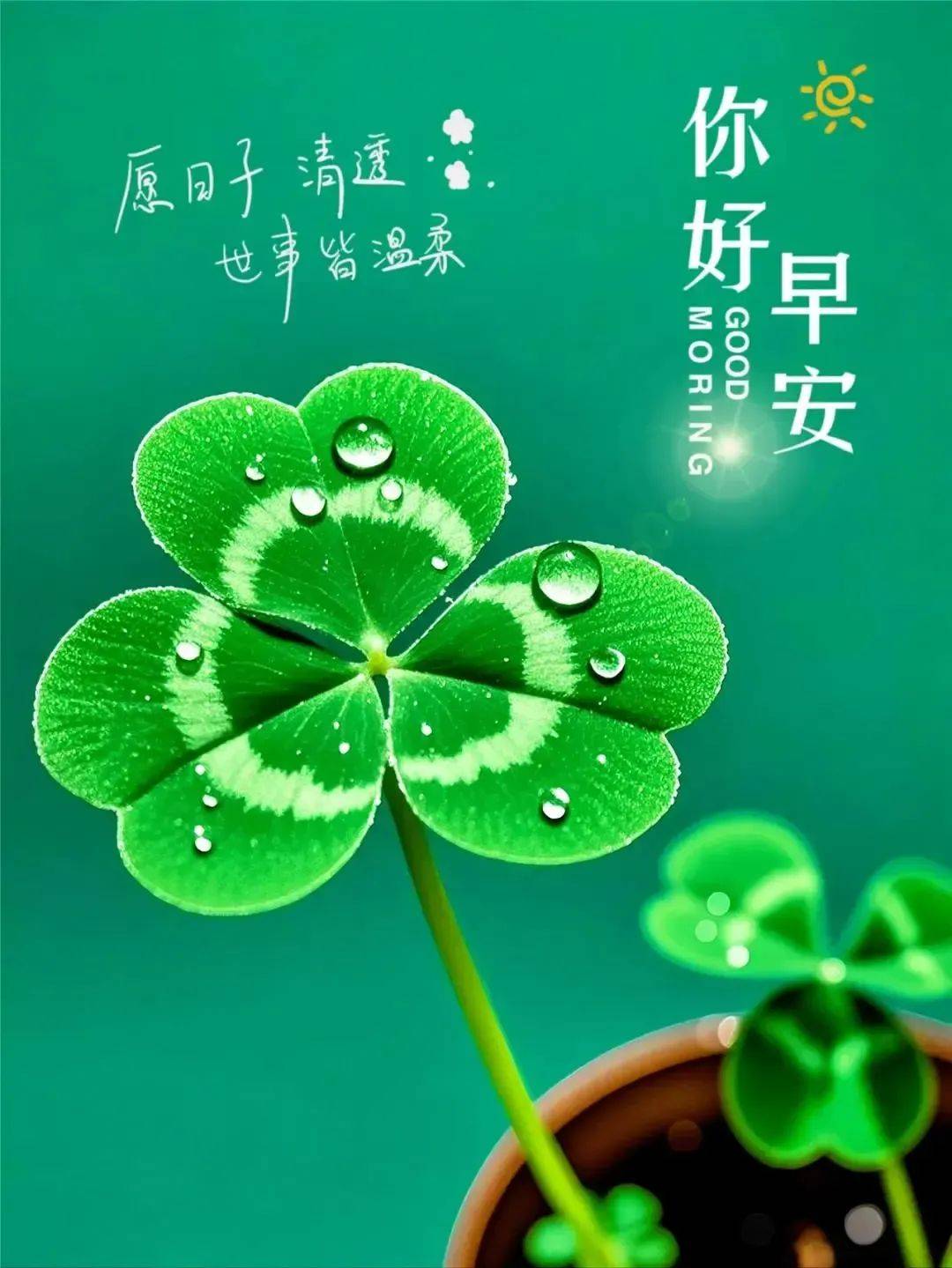 3月25日星期二新版早安祝福美图温馨祝福语开启美好的一天收获满满