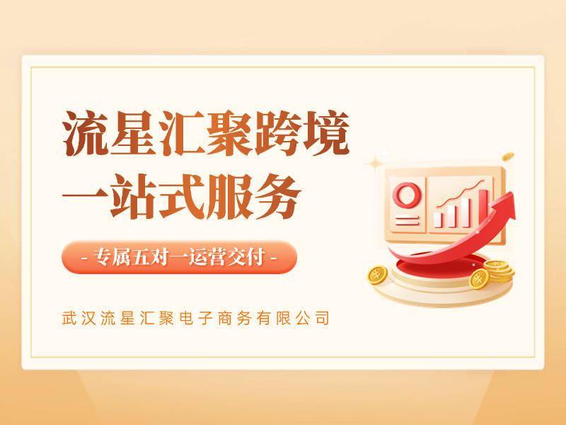 2025两会后跨境电商机遇凸显，武汉流星汇聚助力卖家开拓全球市场 聚焦跨境电商欧美双站，武汉流星汇聚为卖家开启财富之门