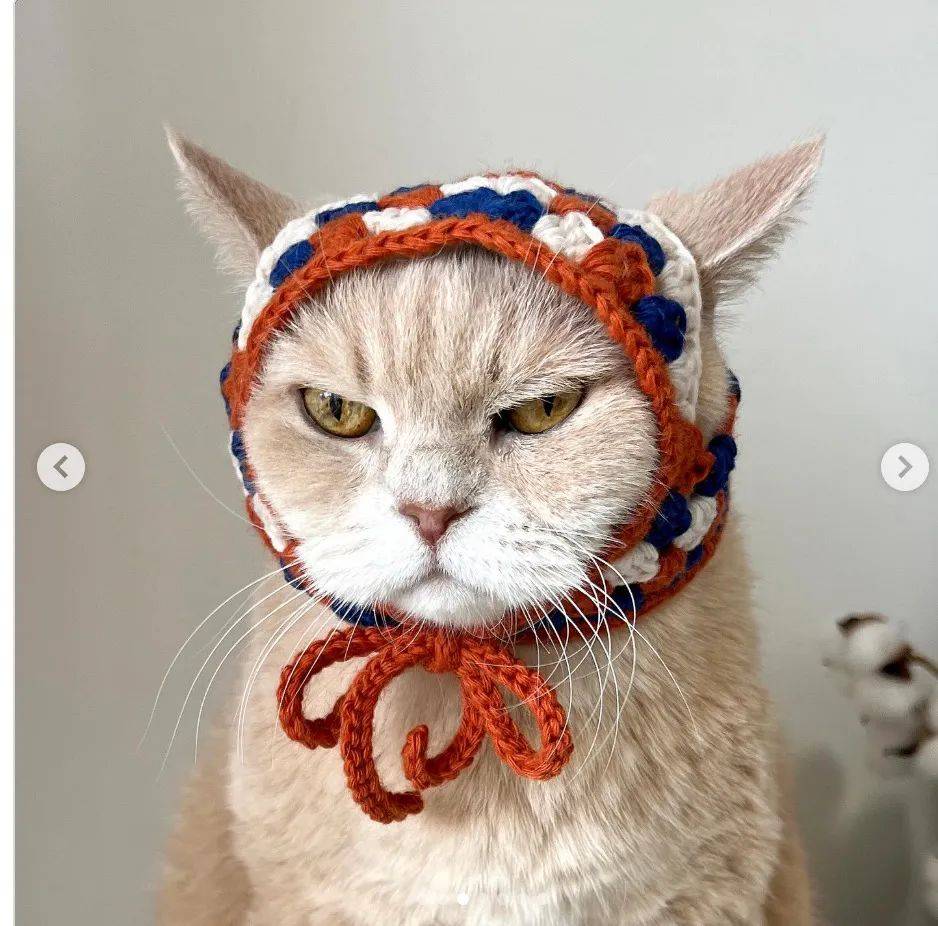 超简单祖母格猫咪头巾 可爱可爱看到就想钩起来 管她爱不爱