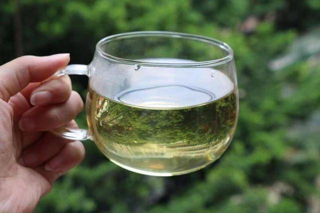 蒲公英茶：开启女性健康新“茶”机