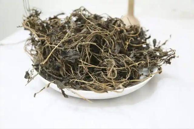 莫让野菜变“毒药”，食用细节需留意