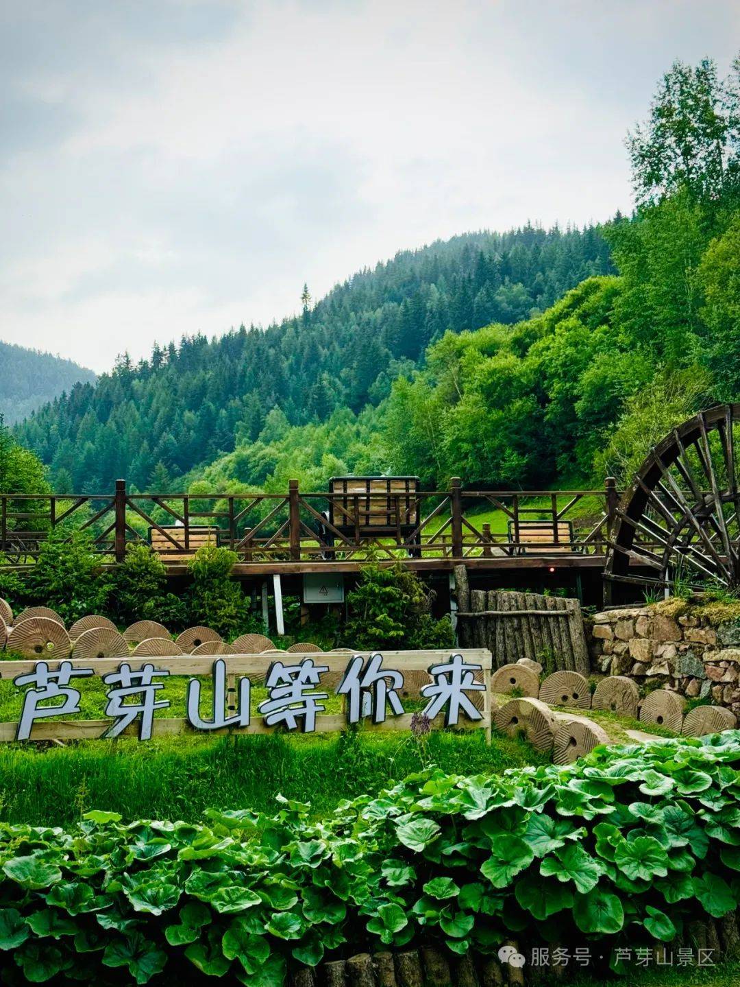 接下来的芦芽山每一帧都是壁纸