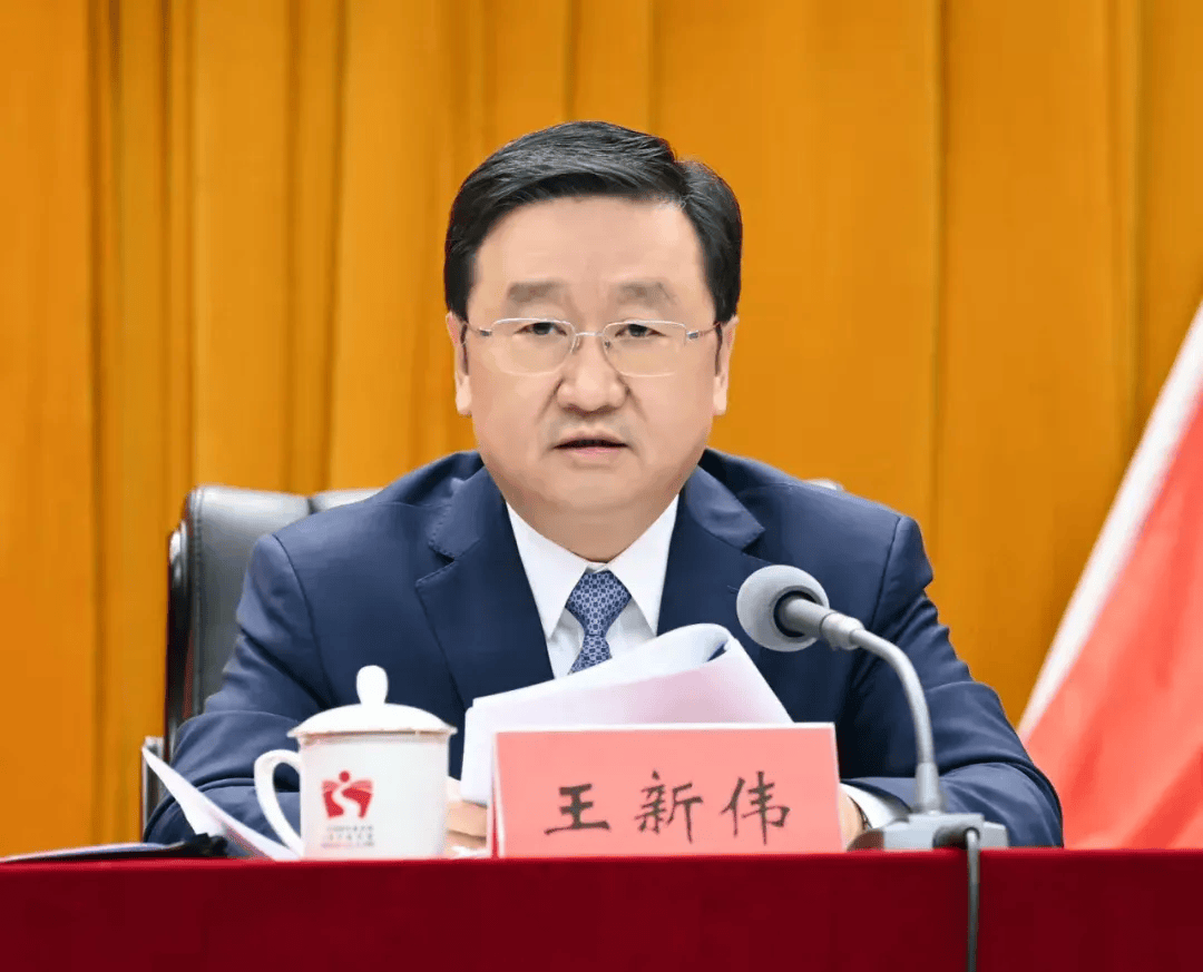 王新伟当选辽宁省省长_李乐成_新华社_河南