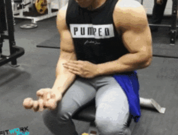 569_431gif 动态图 动图