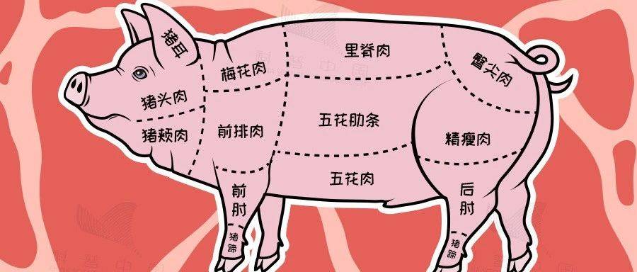 猪身上这三个部位,宁愿扔了也别吃!猪肉食用指南一起来看→_病变_胆固醇_标准