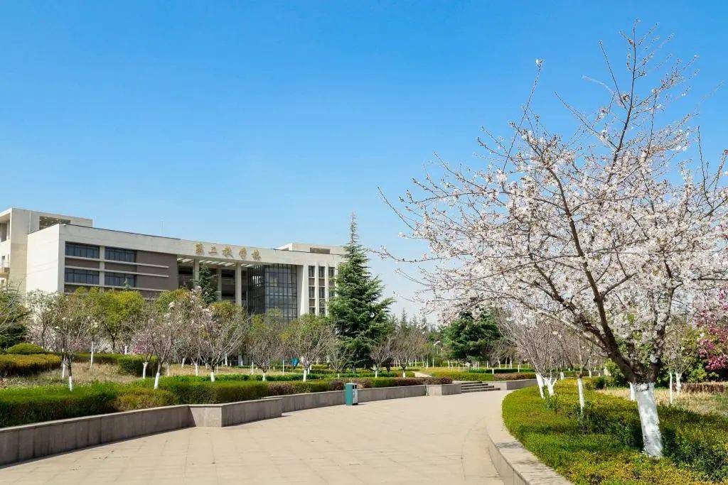 西安财经大学校园。记者在西安财经大学信息公开网查询发现，该校各学院