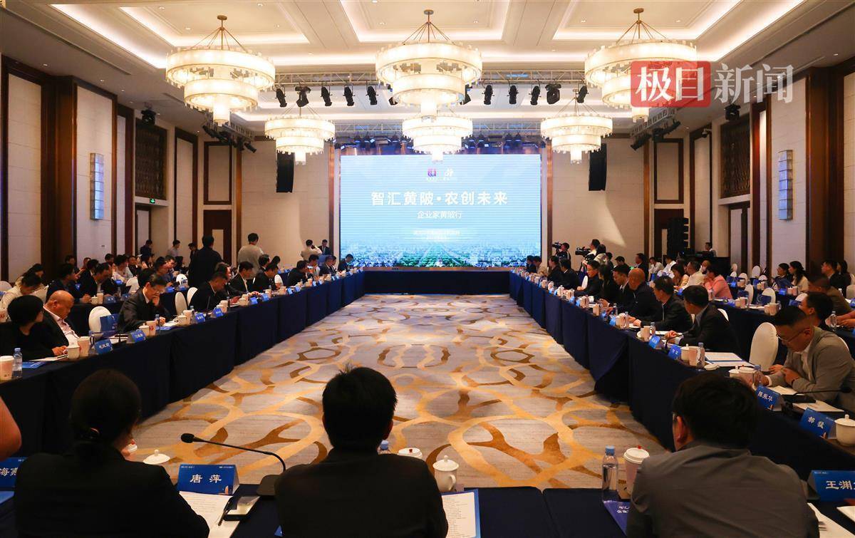 70多位企业家代表齐聚黄陂,共谋现代农业高质量发展_武汉市_农产品_加工