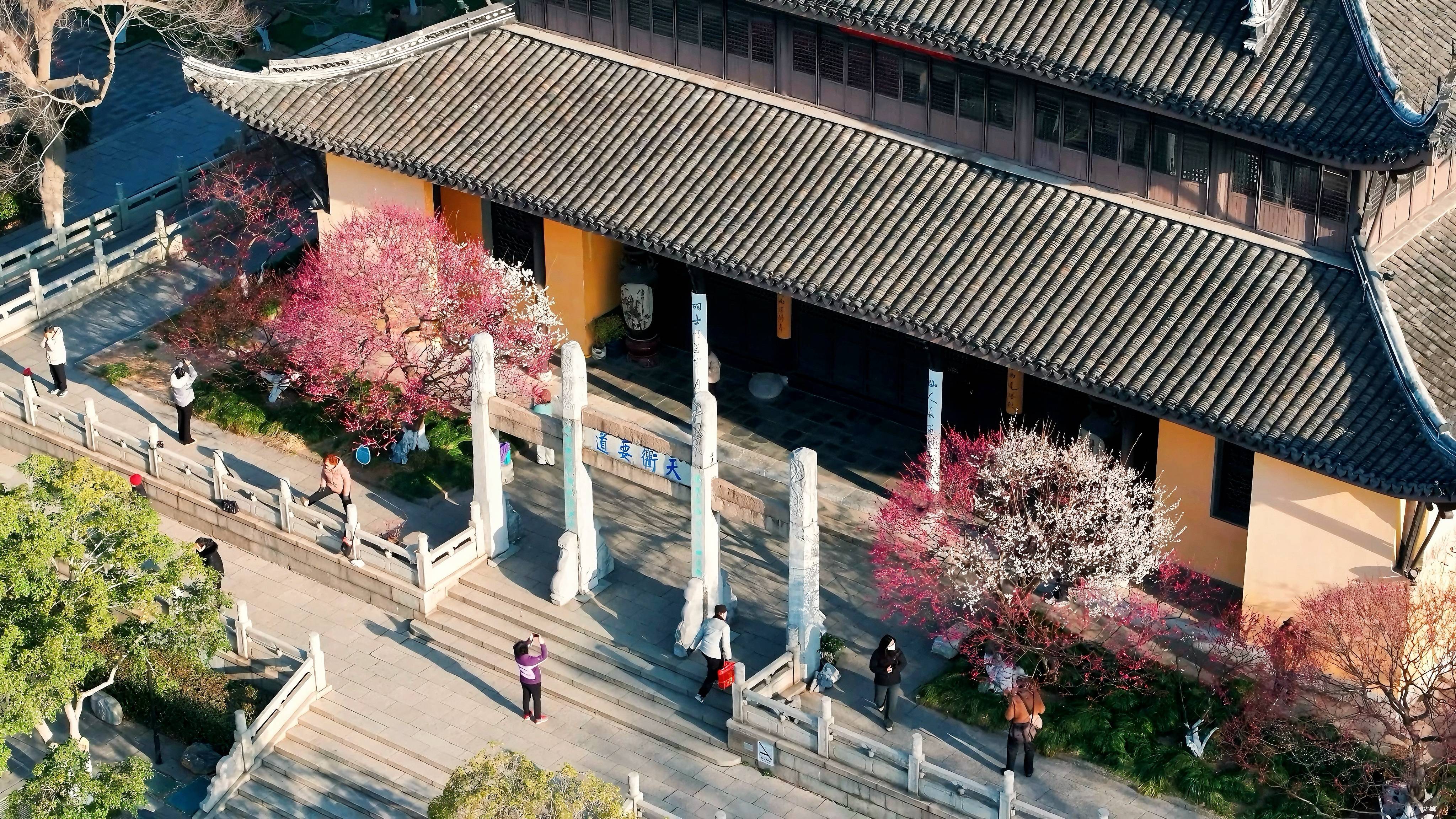 在红梅阁，游人纷纷驻足、拍照留念。朱峥辉 吴润泽 王韬嘉（实习生）摄
