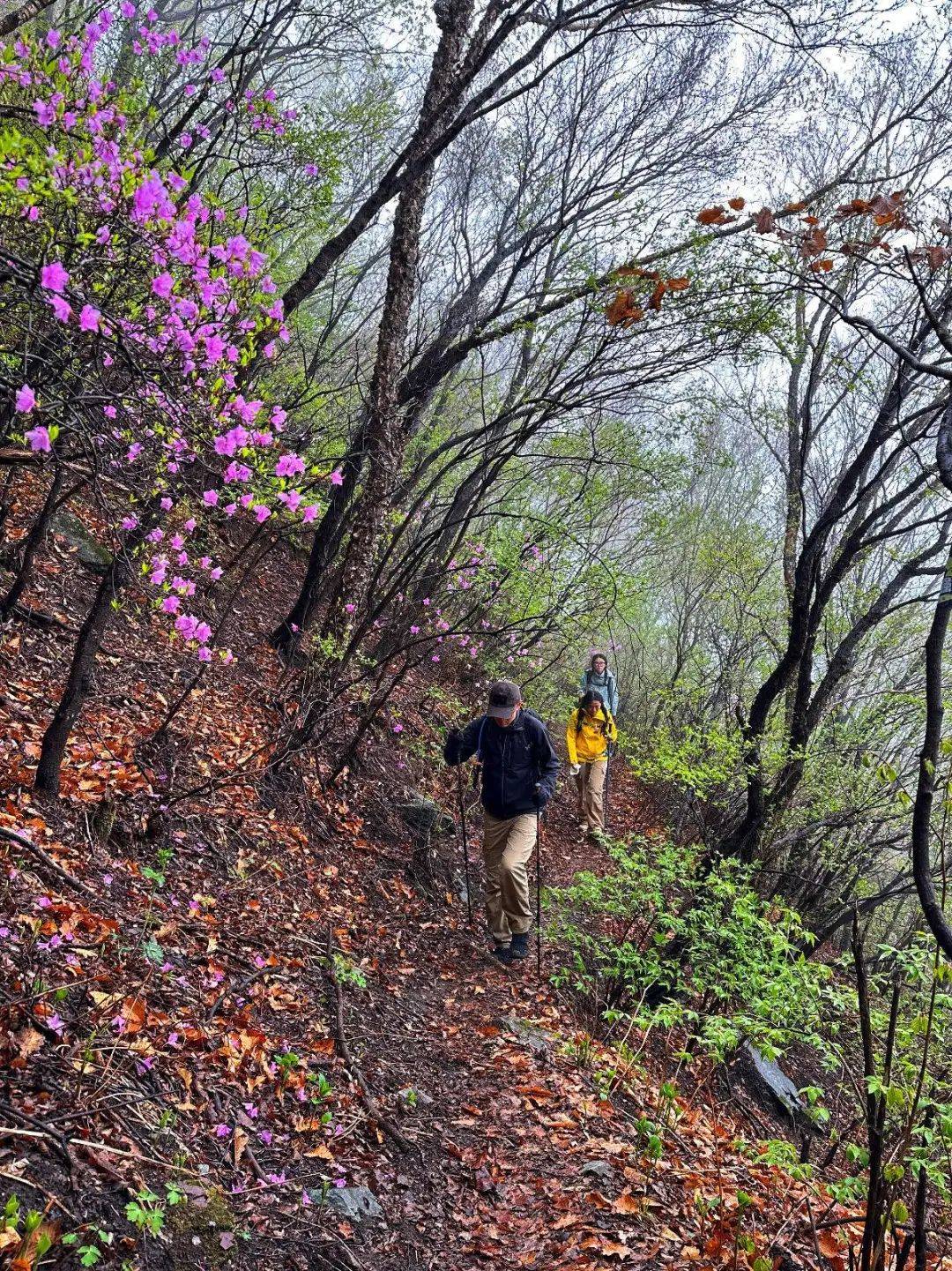 老龙窝在房山区和门头沟区交界处东距门头沟大峪约32公里