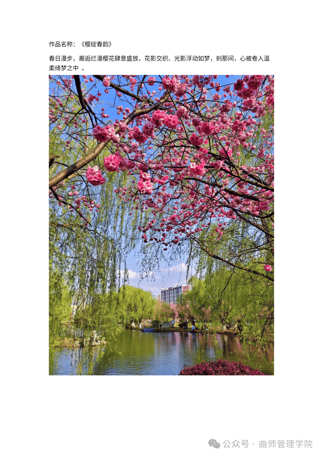 定格春景,烂漫芳华(定格春景摄影大赛部分获奖作品展示)