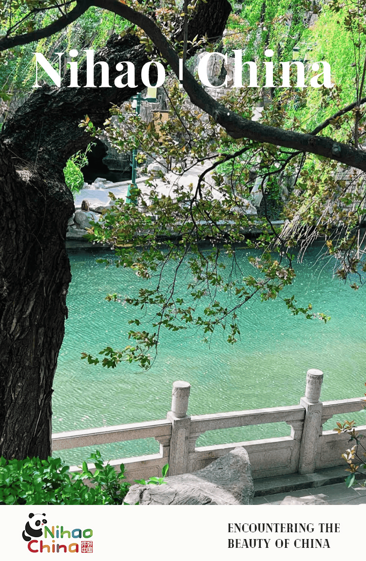 【双语】你好！中国 | 来济南，把春天过成诗_Jinan_spring_three