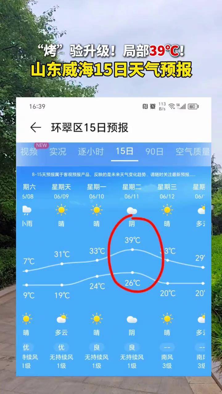 山东省威海市天气预报马上知