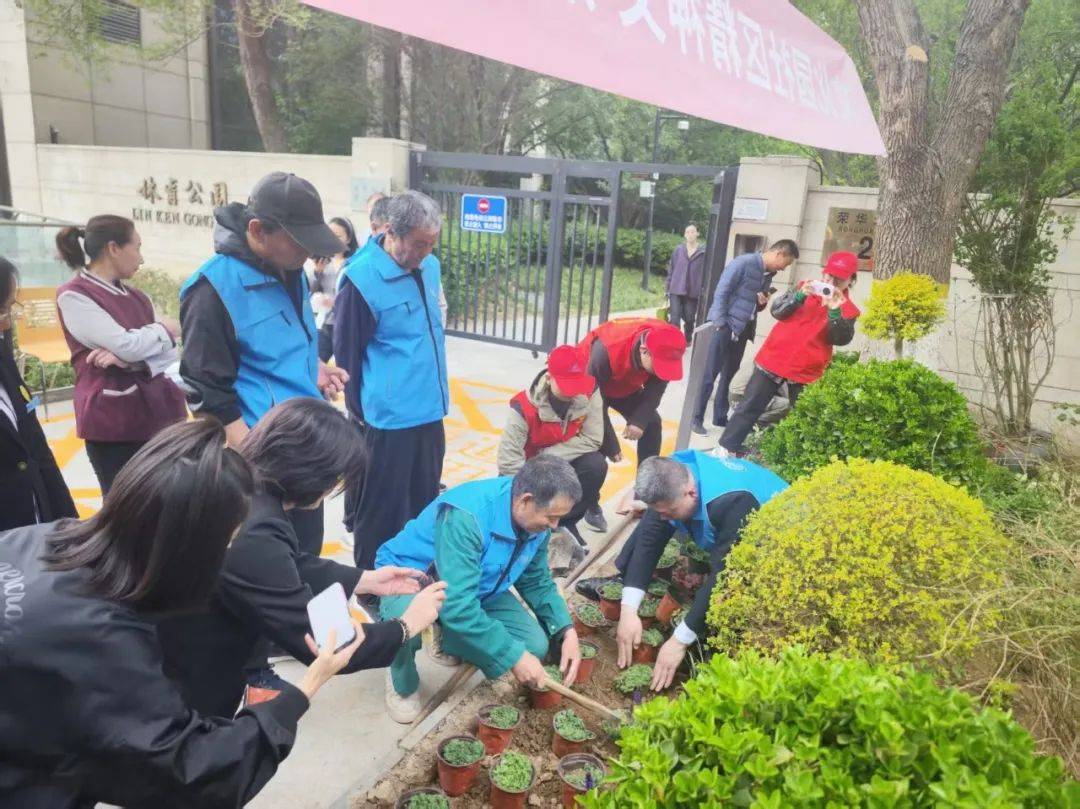 社区谷雨植新绿栽种新希望(图2)