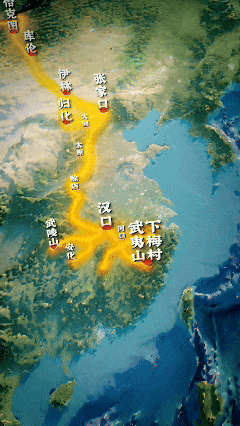 从武夷山到世界的万里回必赢官网响(图1)