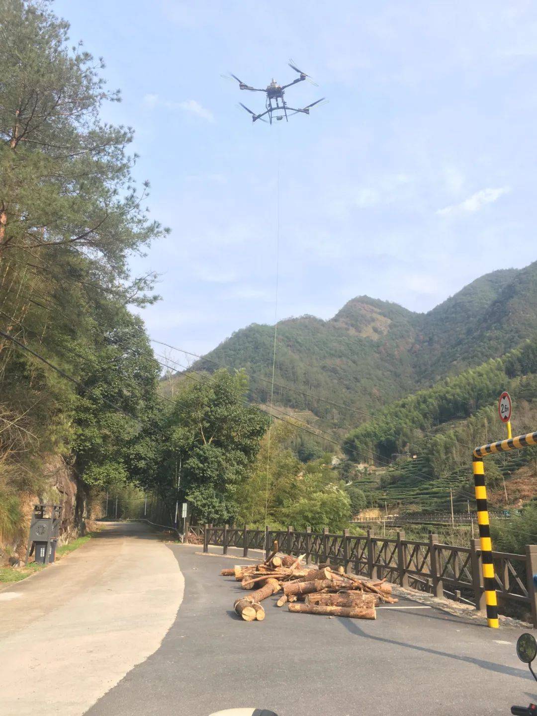 遂昌开启毛竹,疫木运输新模式