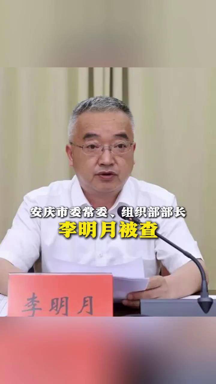 安庆市委常委,组织部部长李明月被查