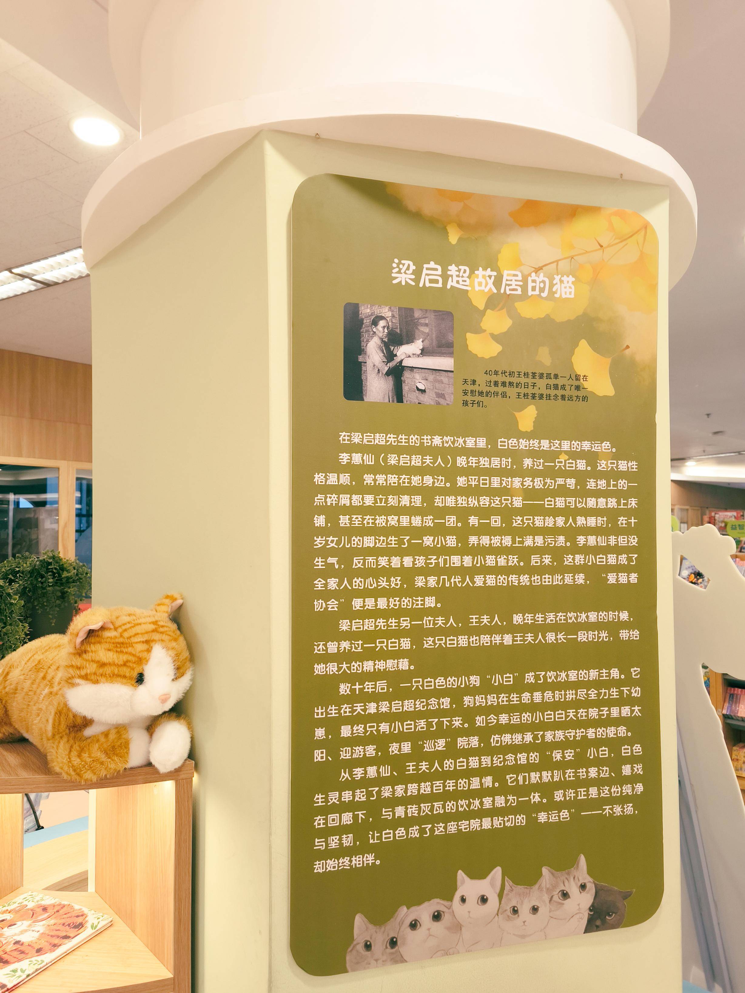 宋庆龄的艺术猫趣老舍的《猫城记》以及徐悲鸿李叔同等众多文人与