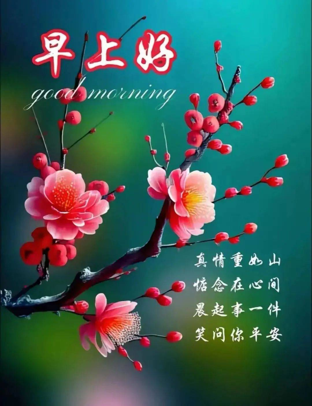 4月24日最新早上好祝福表情包图片,让我们在健康中,潇潇洒洒过好每