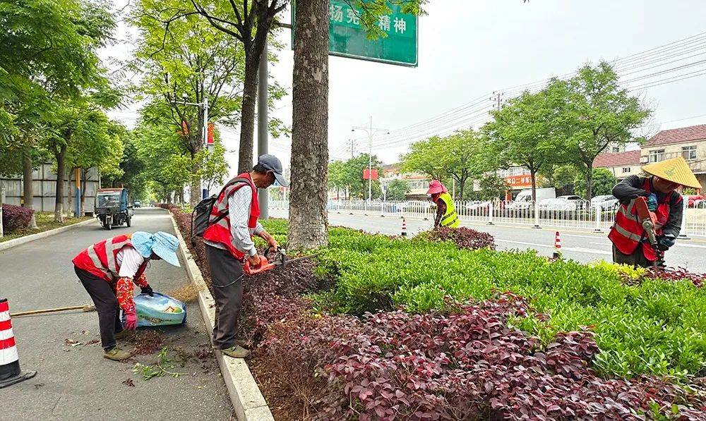 欧博体育入口望江：开展春季园林绿化管护 让城市添绿增美(图1)