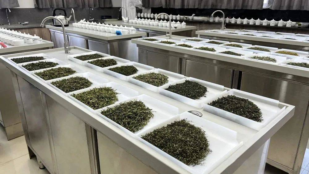 5月6日截样!安徽斗茶会启动“茶王”角逐_评选_获奖数_中国
