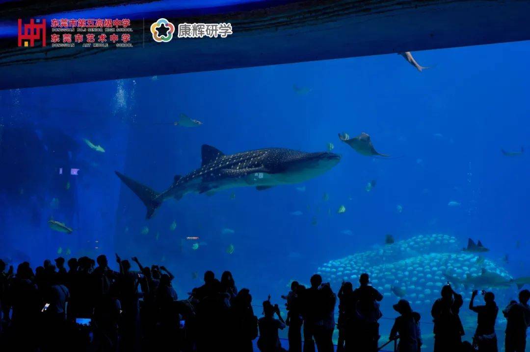 【研学回忆】“品尝侨乡古韵智联湾区脉动”东莞市第五高级中学珠海、江门研学实行培育举止亨通告竣！