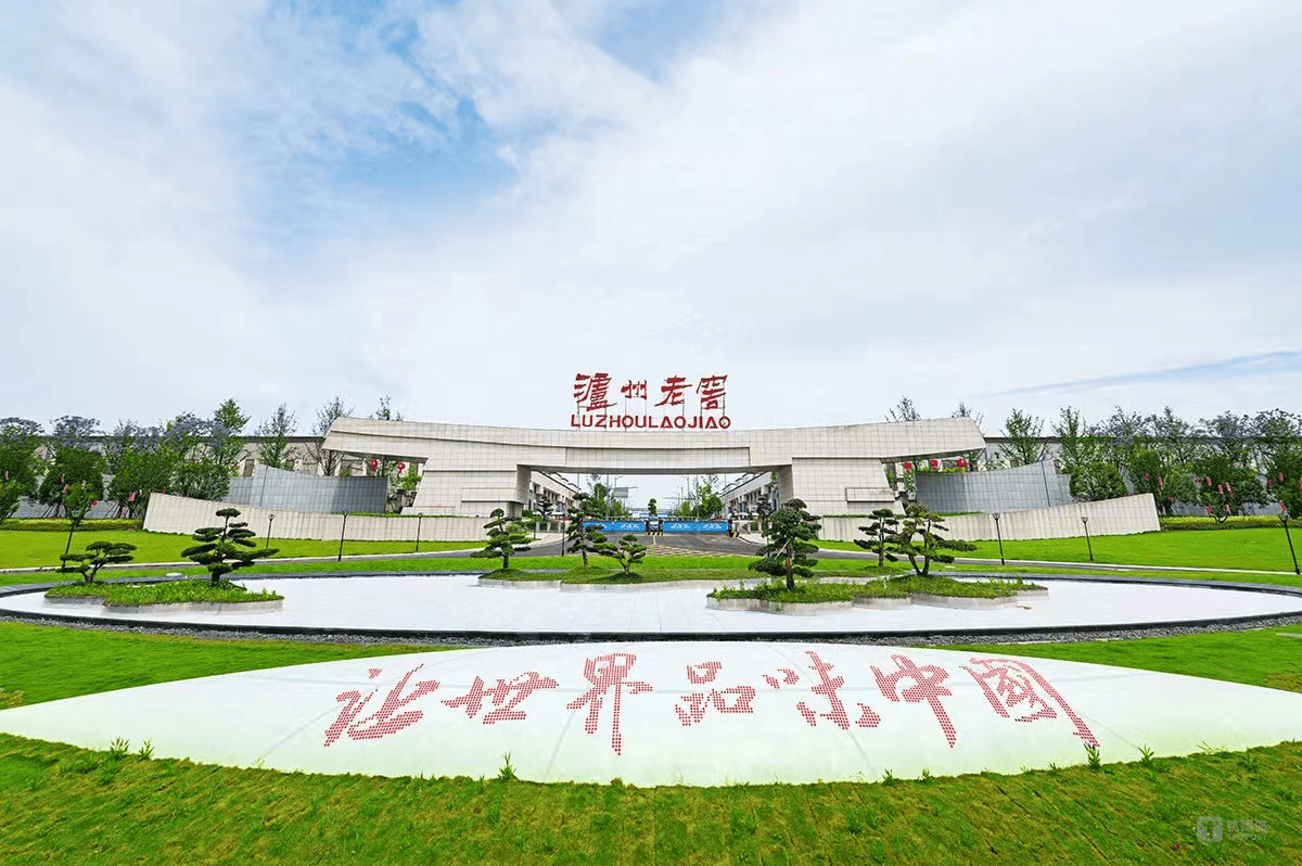 泸州老窖2024年营利双增，精耕品牌与市场破局行业挑战｜看财报
