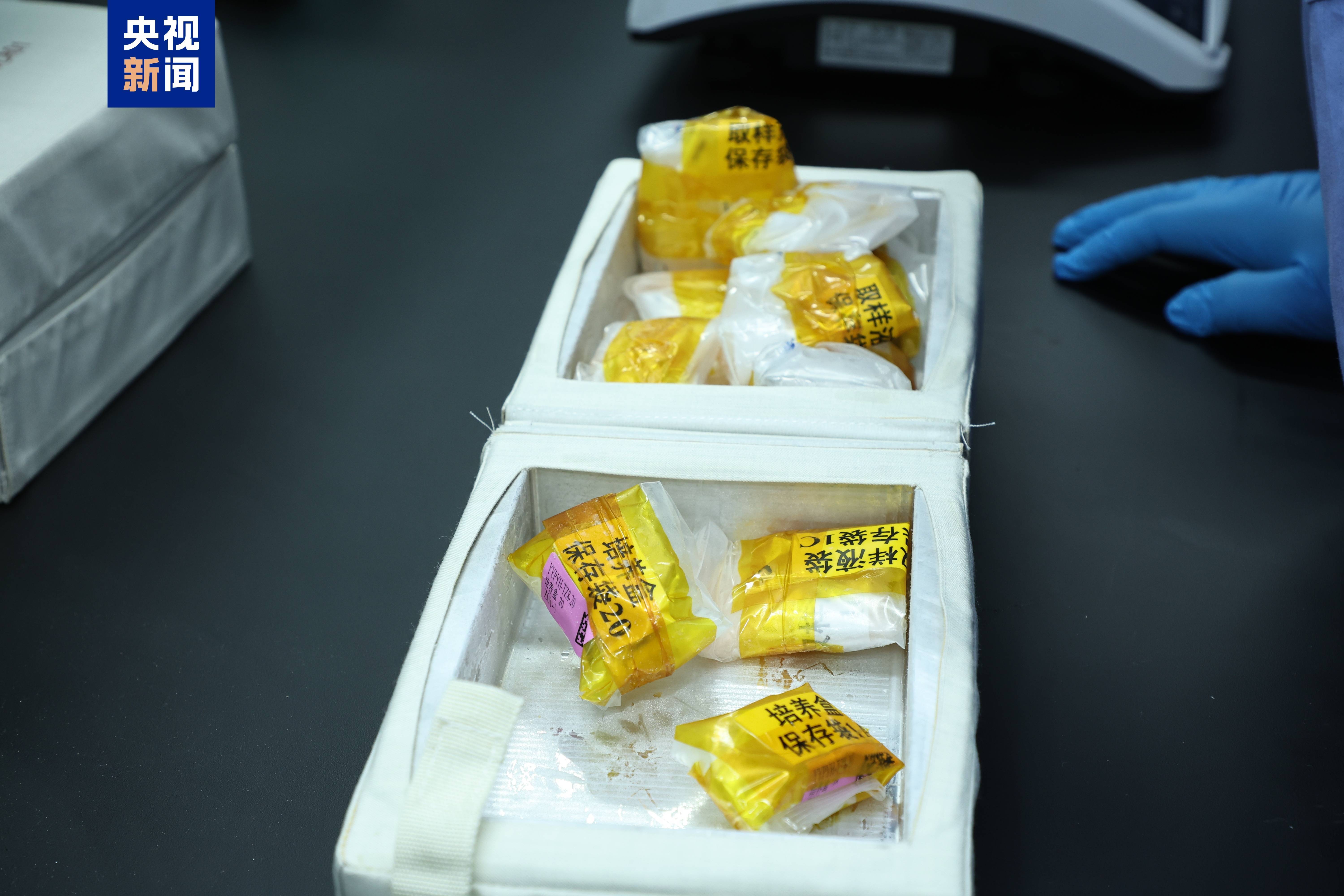神十九都带回了哪些实验样品？果蝇等生命类样品已交付科学家