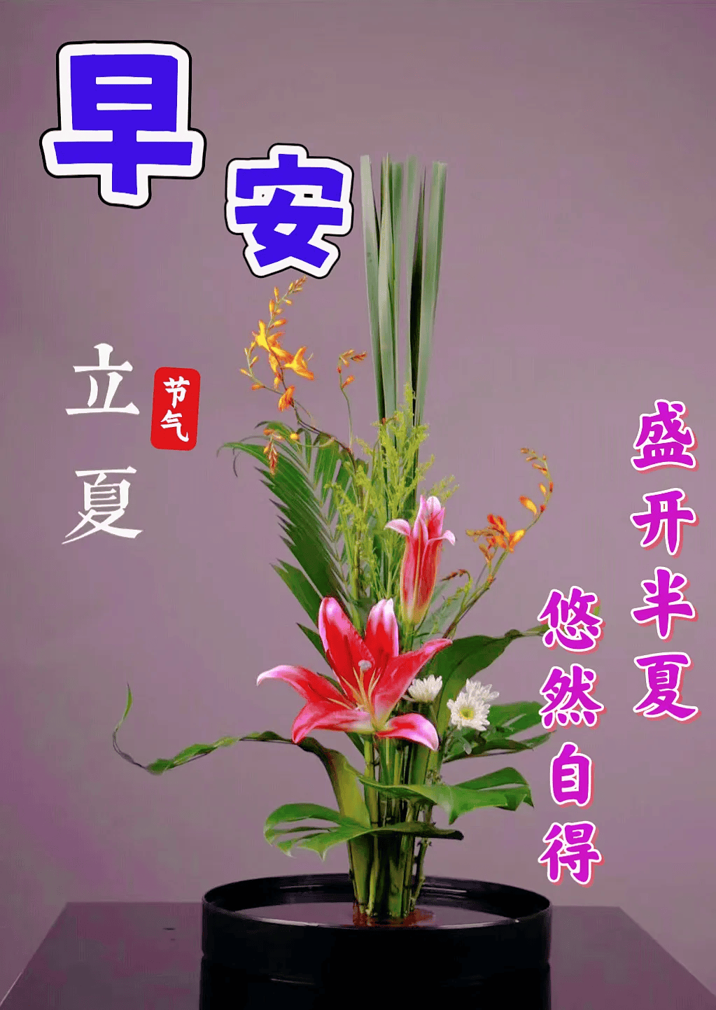 立夏快乐,微信唯美早上好的问候语祝福图片