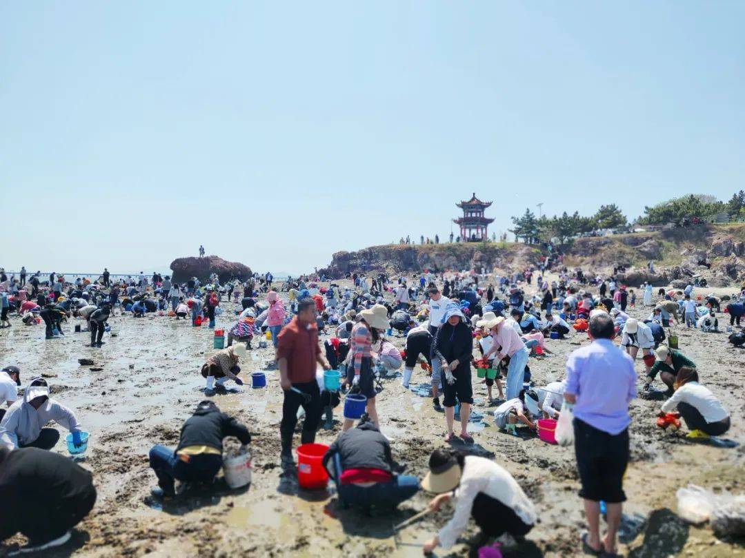 青岛红岛天气预报