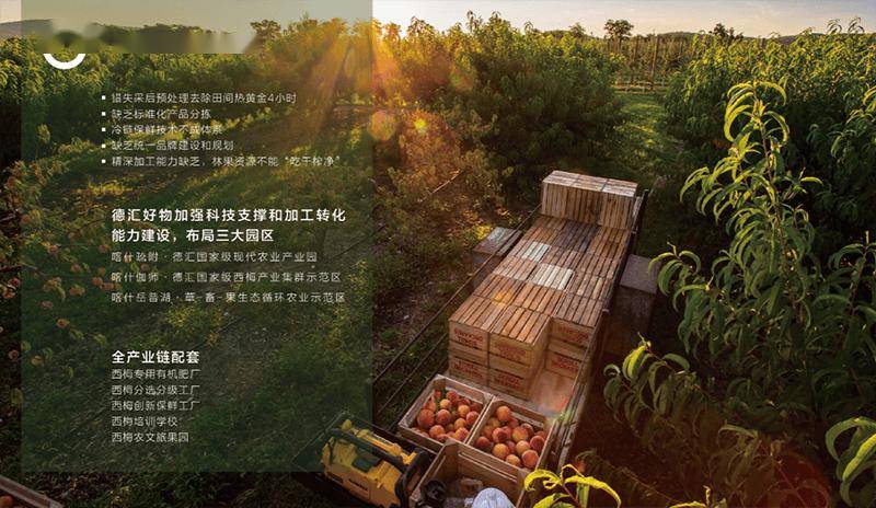 李子的崛起：如何以非常好的性能来改变“超级