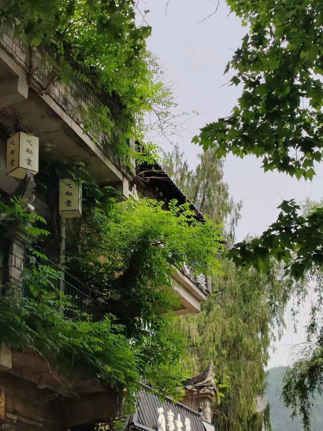 我所小伙伴却在五一假期避开了牯岭街的人潮来到山西麓的庐山西海