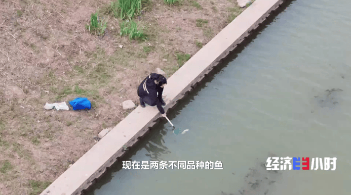 图片[7]-低空经济爆发！这些“会飞”的工作正吃香 -华闻时空