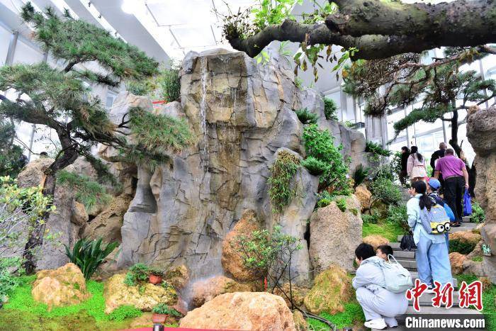 福州三江口植物园吸引民众JN江南注册(图6)