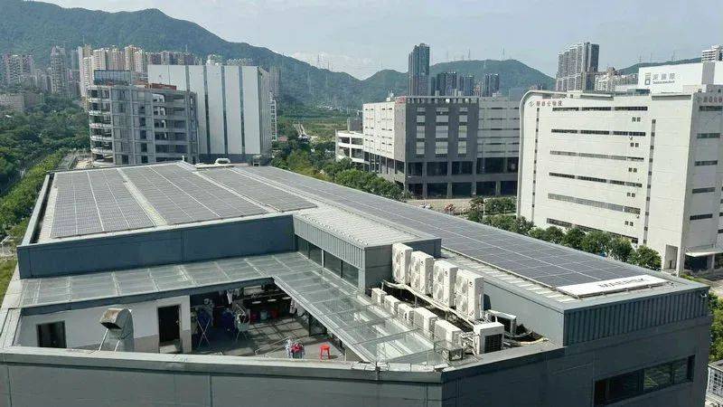 星空体育APP广东一企业光伏资产被变卖(图1)