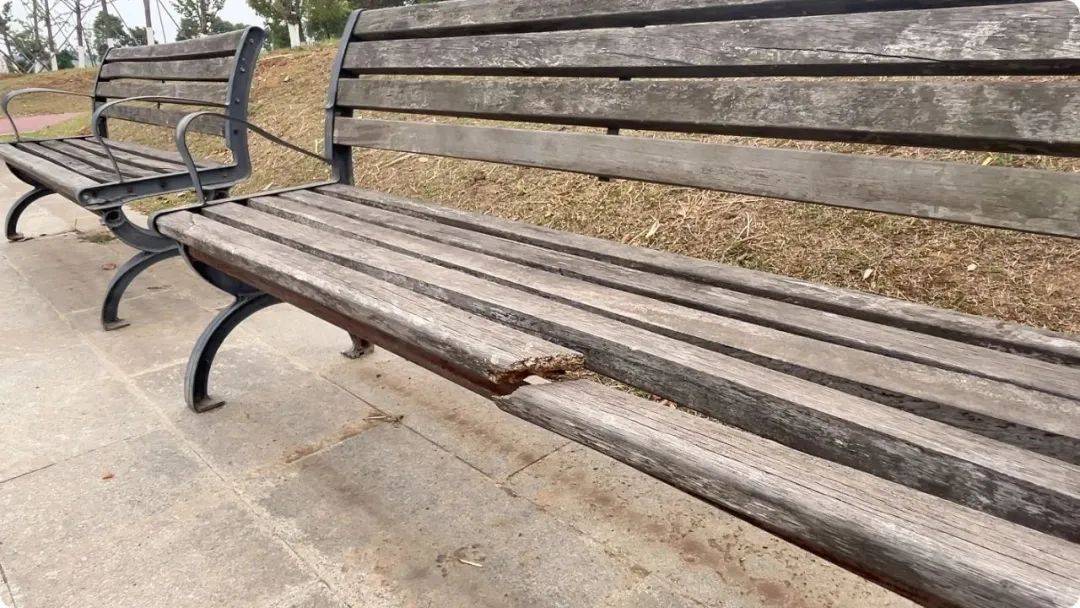 南京市市长陈之常走进直播间，现场责令核查燃气二次收费