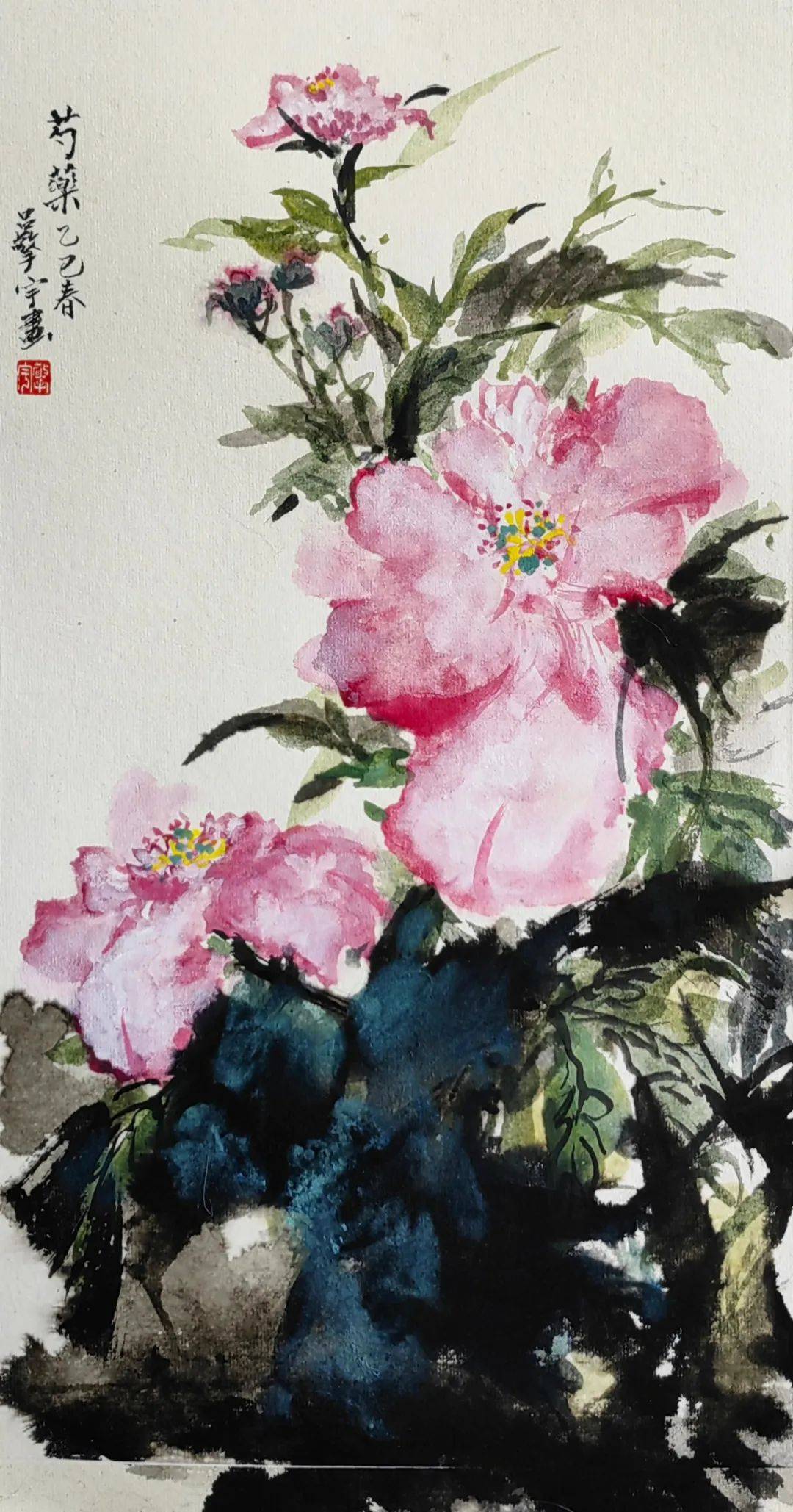 快看,亳州又一波芍花来了,另一种美!