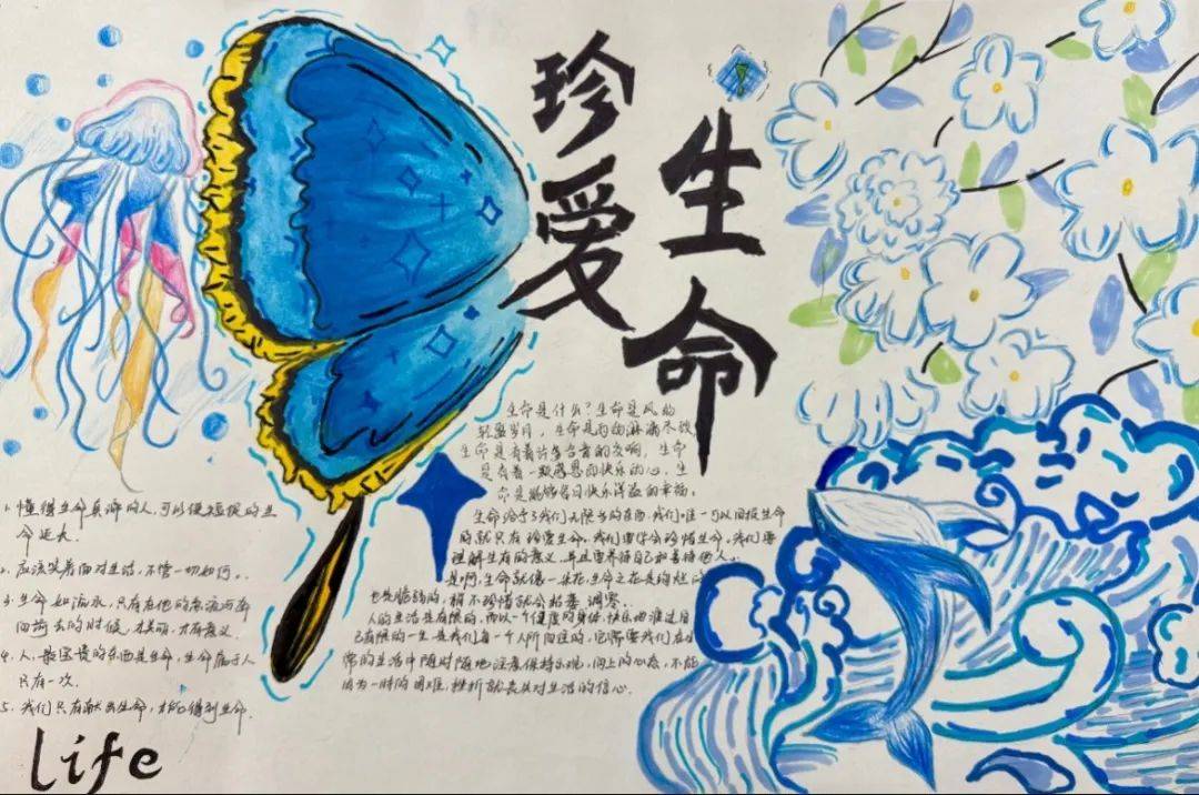 初中部七年级"表白我的美好生命"主题手抄报评选