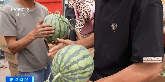 每天拍拍西瓜就能月入过万！网友:这也行？？？