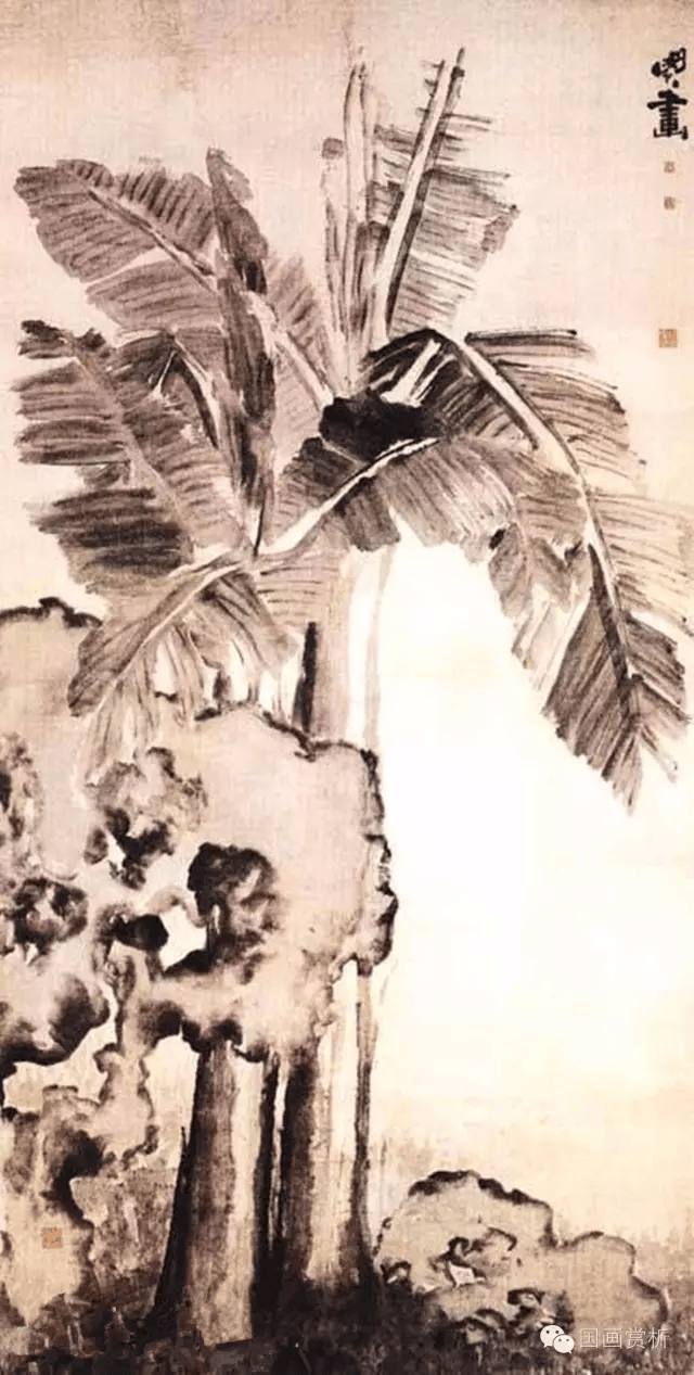 《蕉石圖》