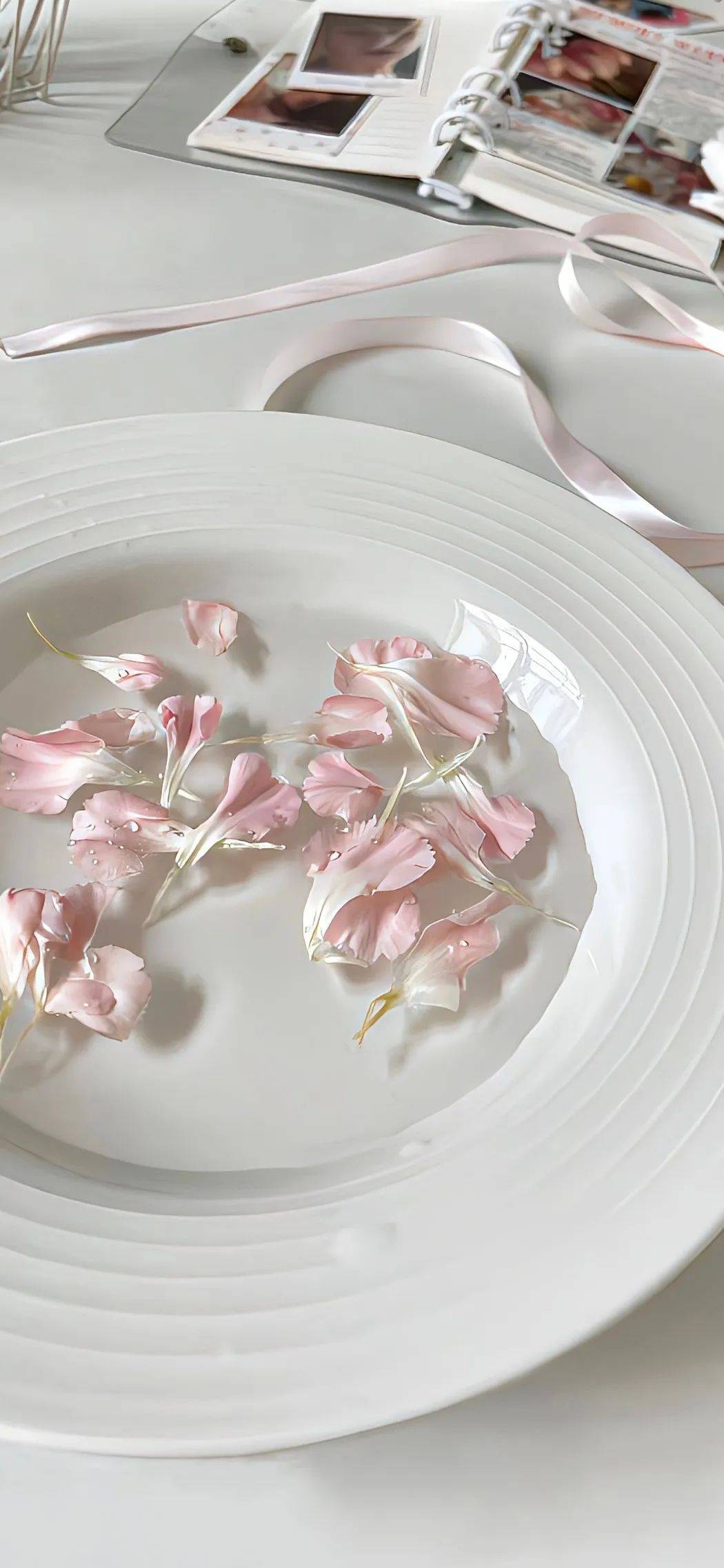 壁纸|高质量全面屏壁纸 ins风